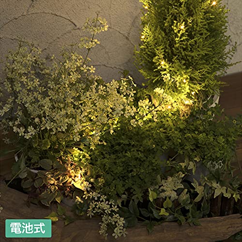 Amazon | タカショー 電池式LEDプチイルミ20球シャンパンG LGB-ML20C